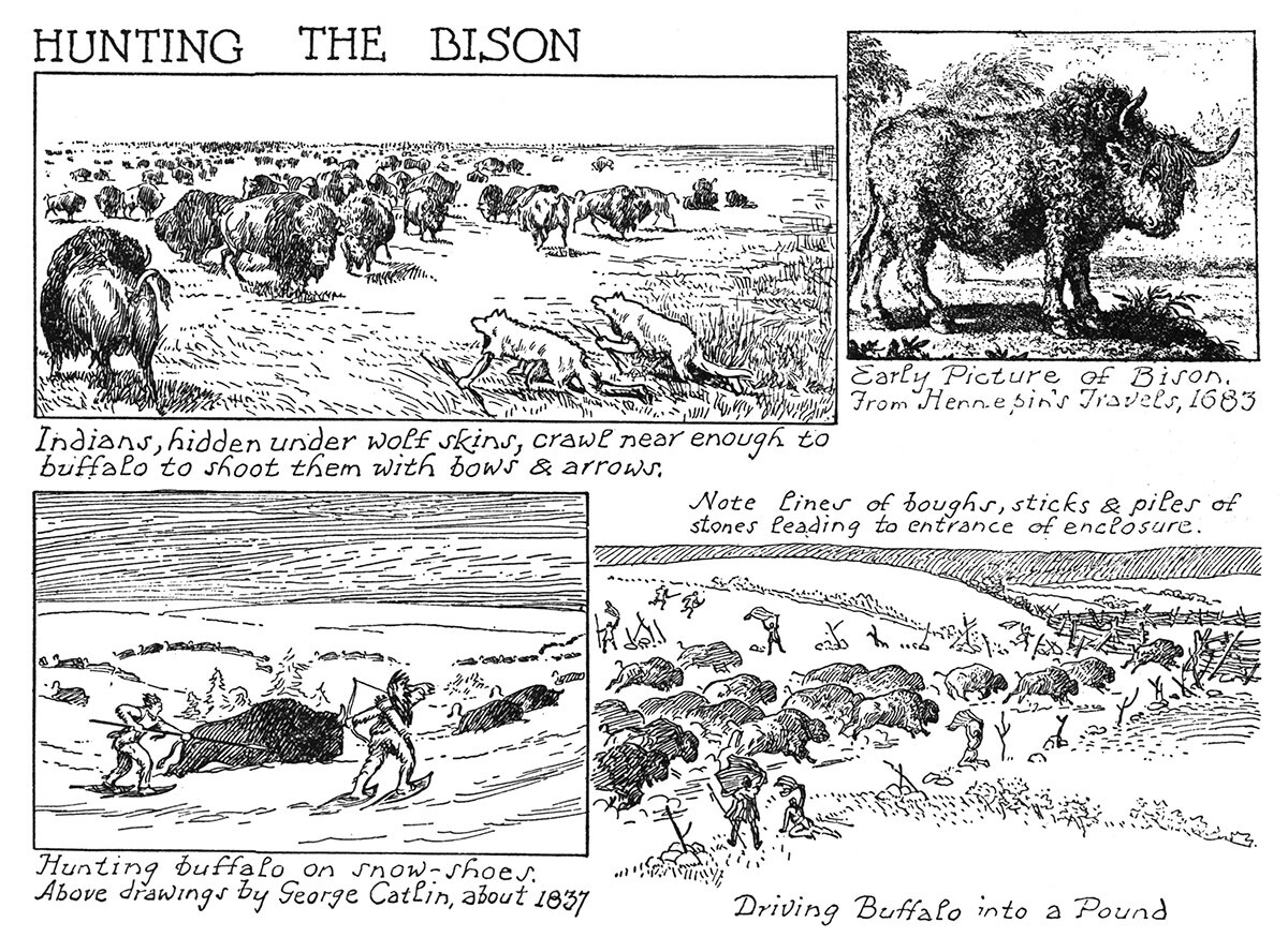 Hunting the Bison