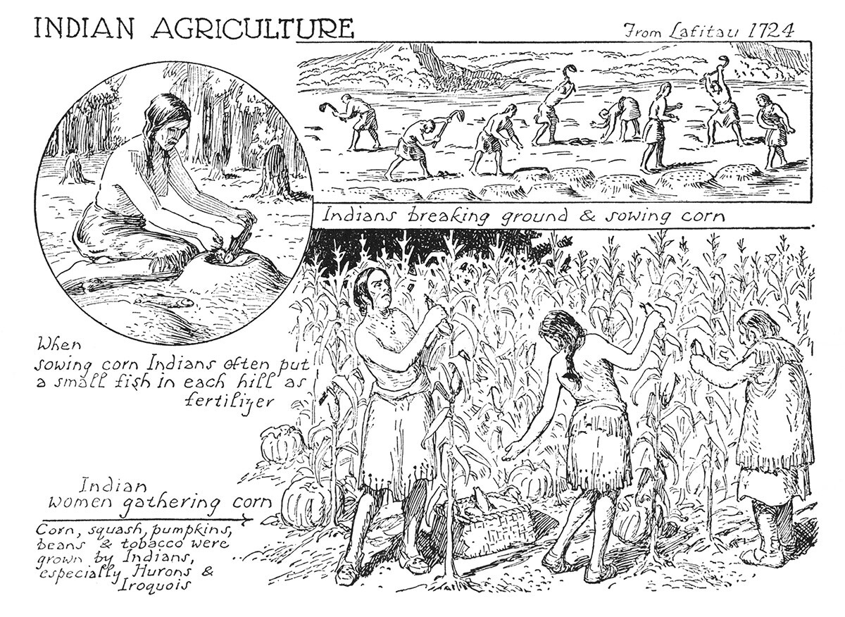 Indian Agriculture