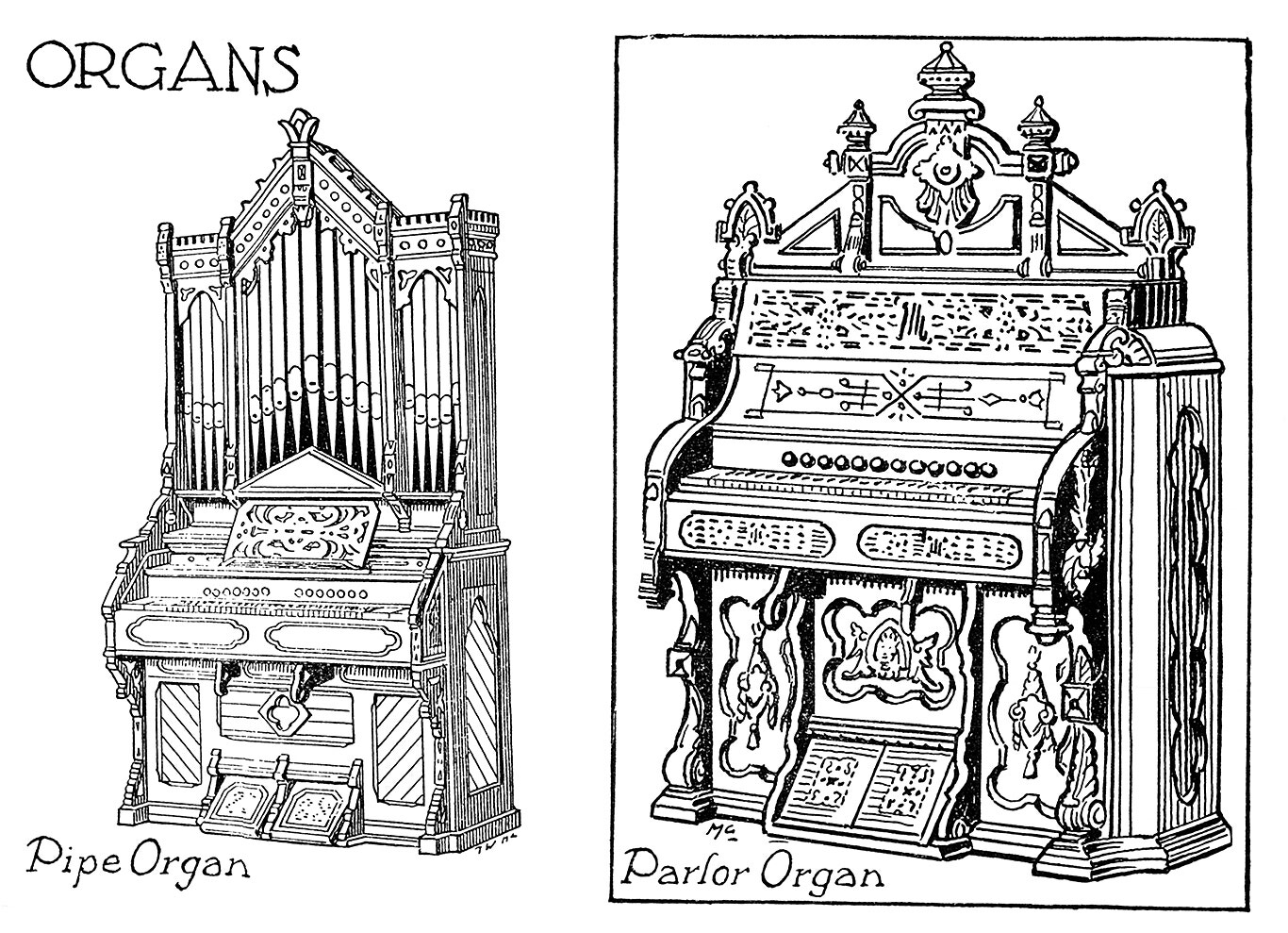 Organs