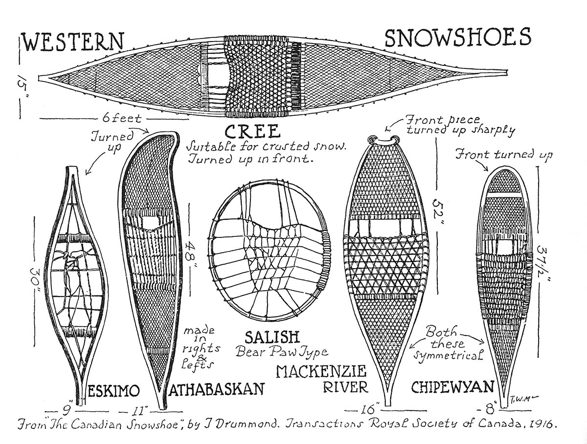 Western Snowshoes